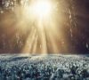 The Impact Winter