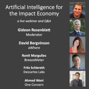 Artificial Intelligence for the Impact Economy