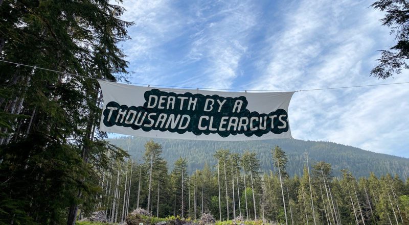 Death by a thousand clearcuts