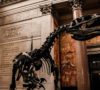 Is the U.S. Chamber Going the Way of the Dinosaurs?