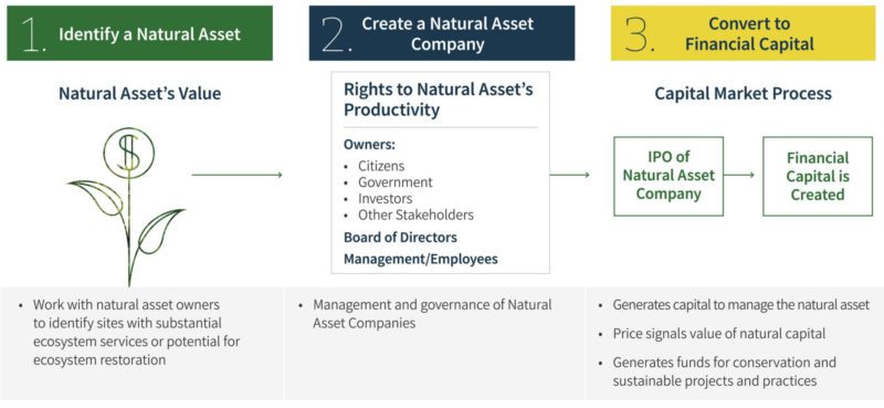 Natural Asset Company Graphic