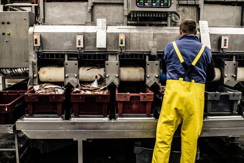 Factory worker at machine