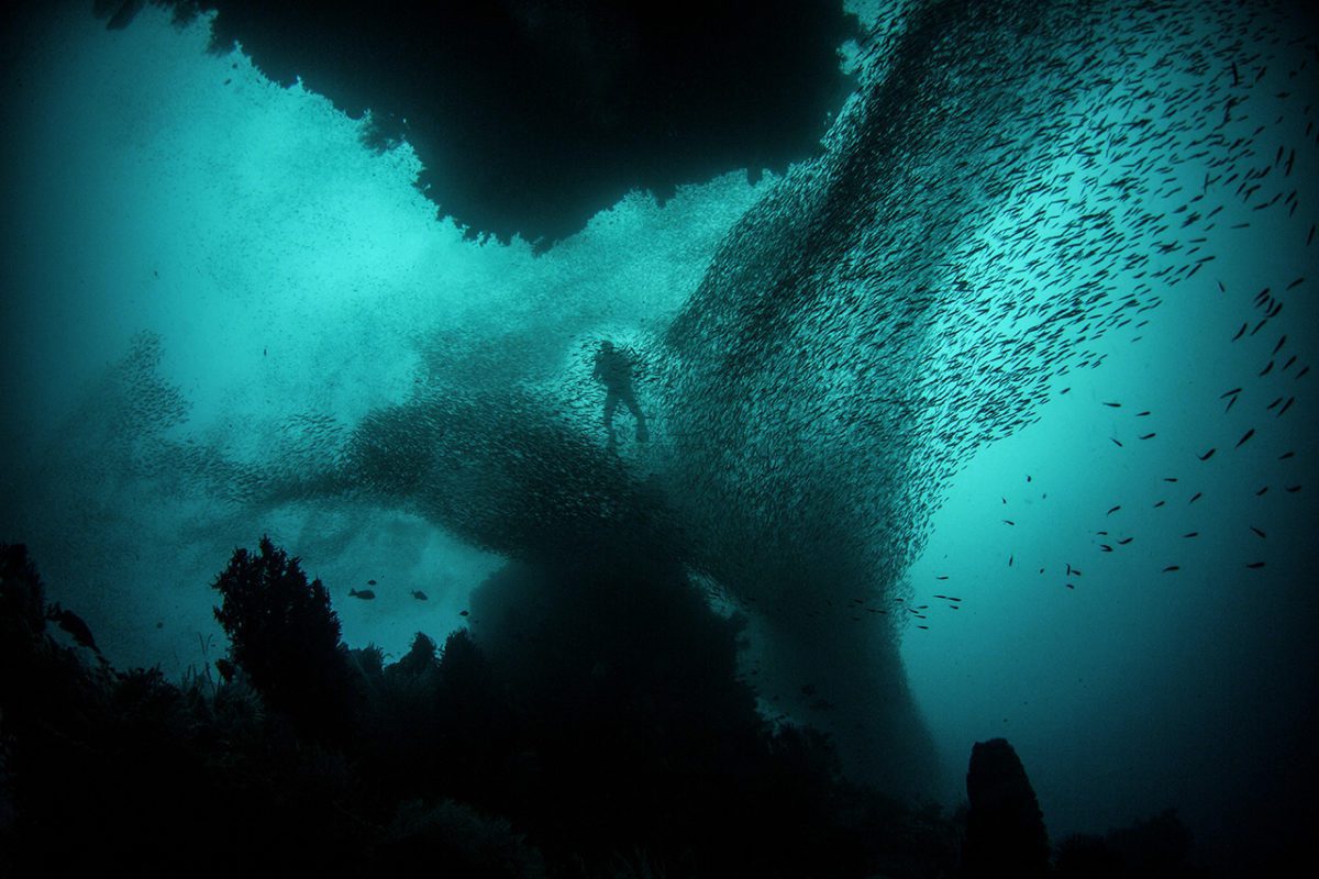 Catherine Griffin - Emerging Blue Economy
