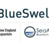 BlueSwell Incubator Program Selects Third Cohort of Startups