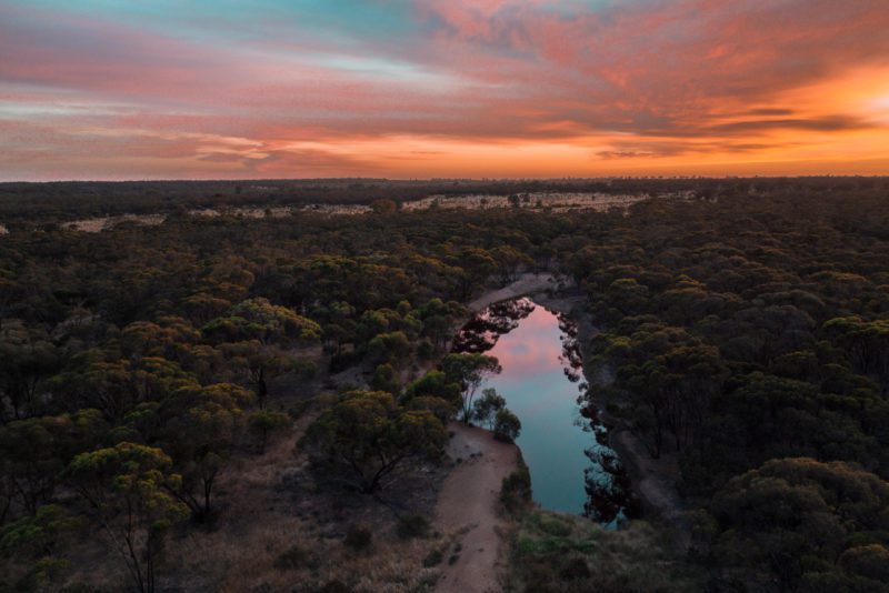 Wilderland biological diversity unit