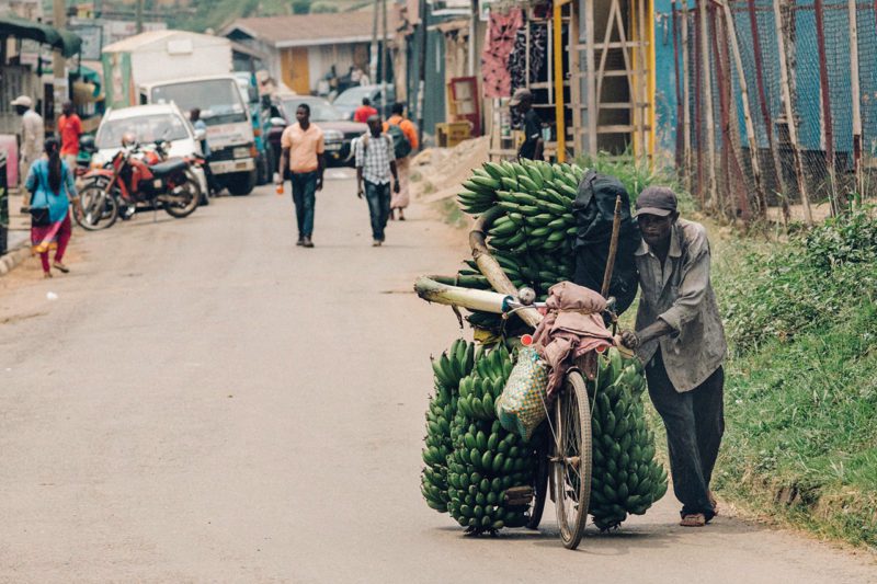 Man in Africa transporting agricultural goods via bicycle