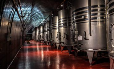 From Sugar to Steak: The Magic of Precision Fermentation