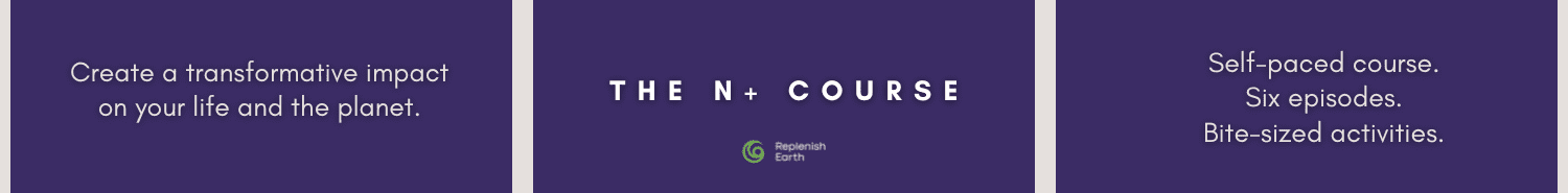 Replenish Earth Net Positive Course 01 MCB
