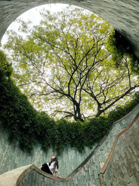 Natural setting seen from inside a structure