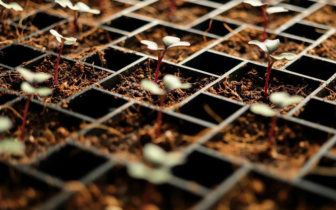 How Nanotechnology Can Revolutionize Farming