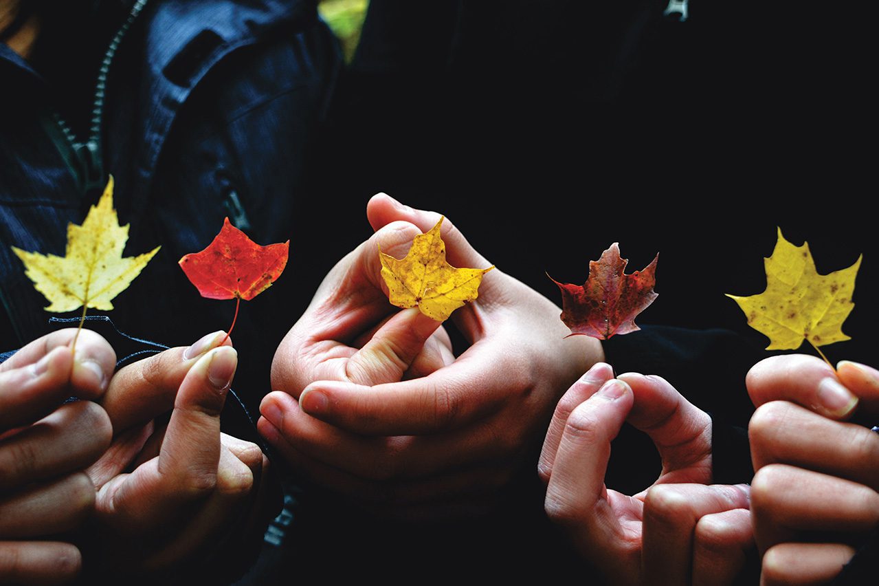 Hands holding autumn leaves