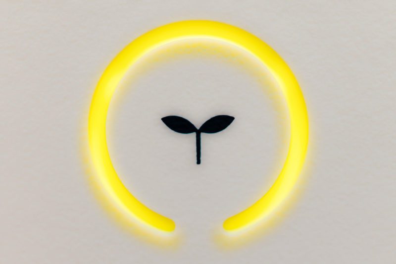 Two winged leaf inside yellow circle