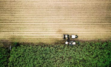 Accelerating Net-Zero Transitions in Agriculture and Food Systems