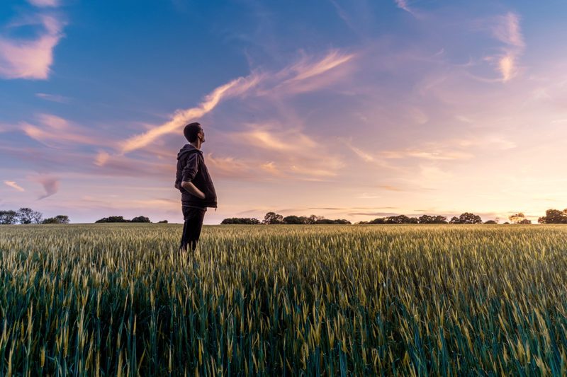 Man in field staring at horizon
