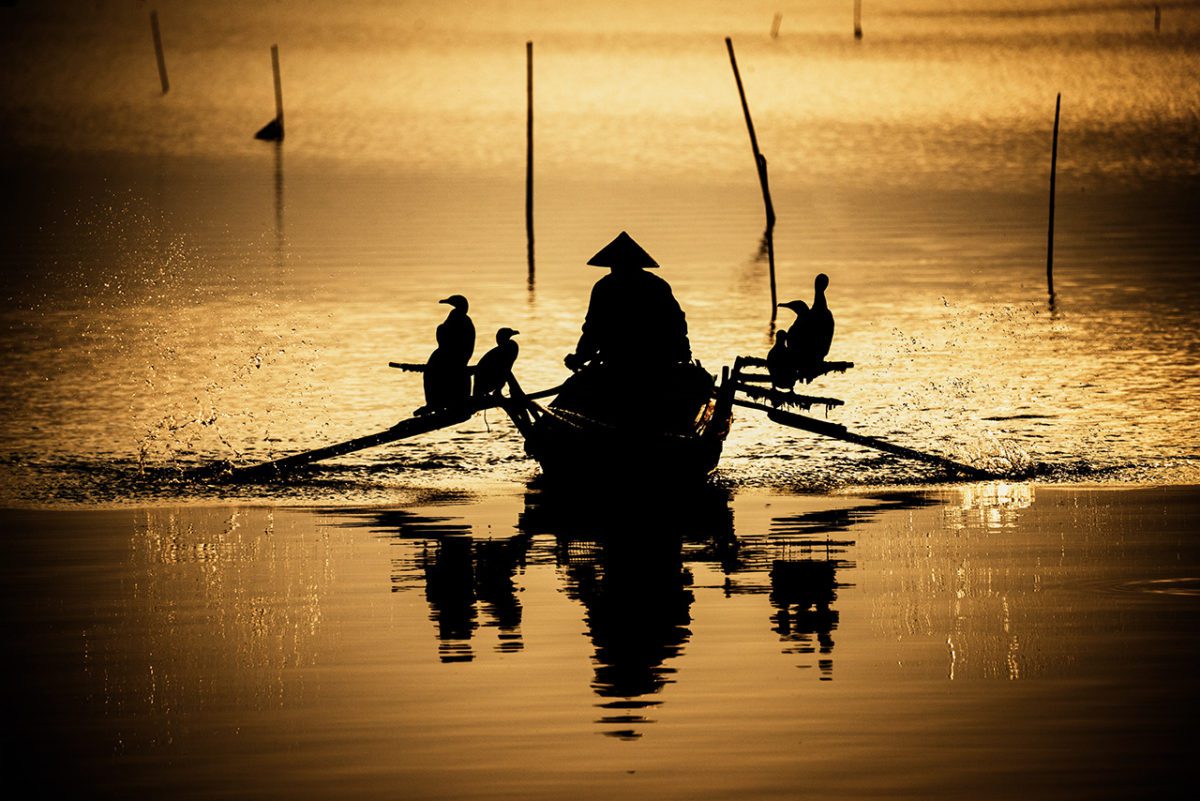 Leizhen Chen - Biodiversity Framework FEATURED