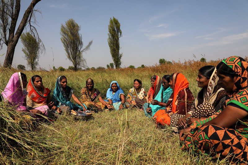 Asian women sitting in circlue in field