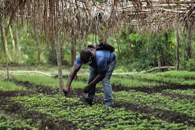 African farmer at work