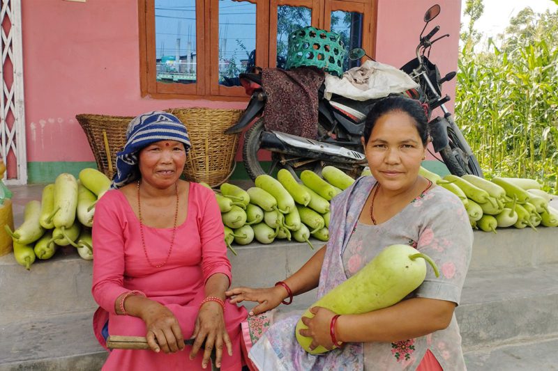 Women farmers in rural Nepal 