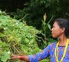 Women Farmers Localize Food System in Rural Nepal