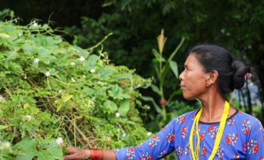 Women Farmers Localize Food System in Rural Nepal