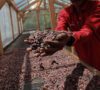 From Bean to Bar