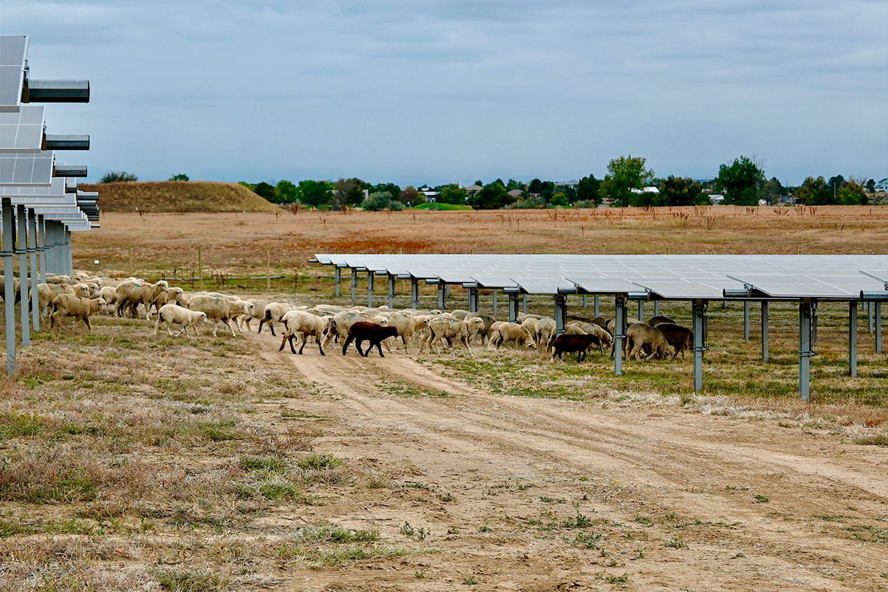 Pivot Solar Farm FEATURED