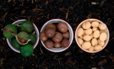 Empowering Women-led Agri-businesses in Kenya