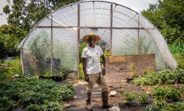 Choose Abundance Over Scarcity