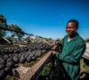 USAID Needs to Invest in Entrepreneurship