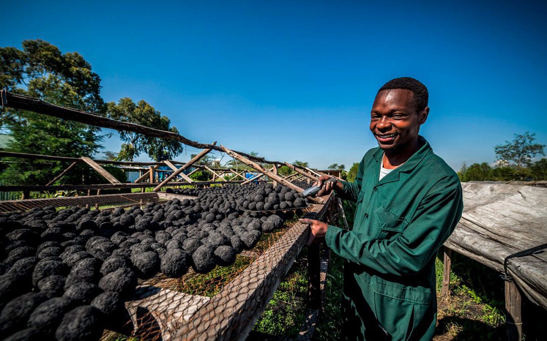 USAID Needs to Invest in Entrepreneurship