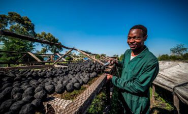 USAID Needs to Invest in Entrepreneurship