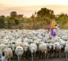 Redesigning Climate Finance for Frontline Impact