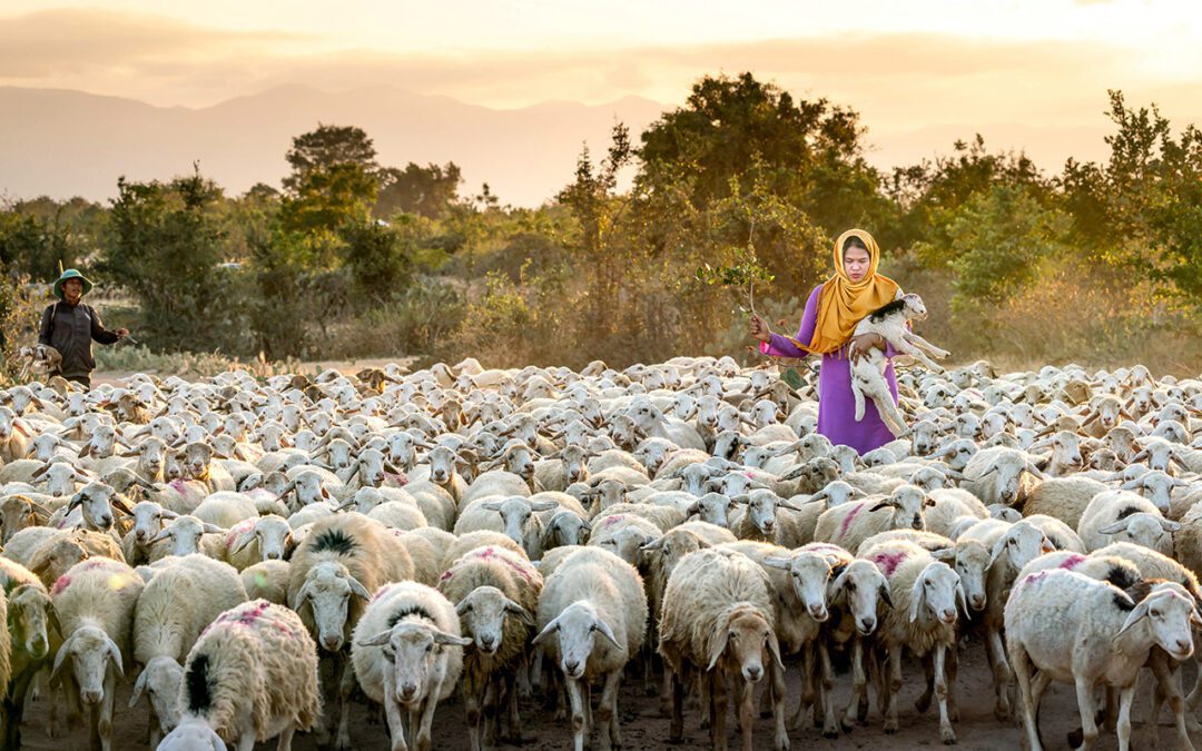 Redesigning Climate Finance for Frontline Impact