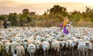 Redesigning Climate Finance for Frontline Impact