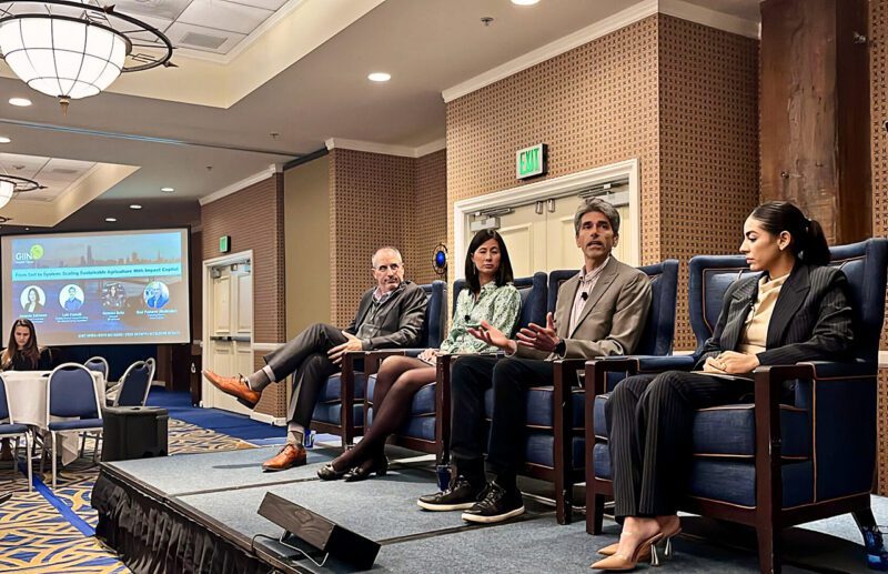 Panelists at GIIN West Coast Impact Forum