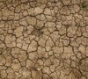Why Insurers Must Step Up for Climate-Vulnerable Industries
