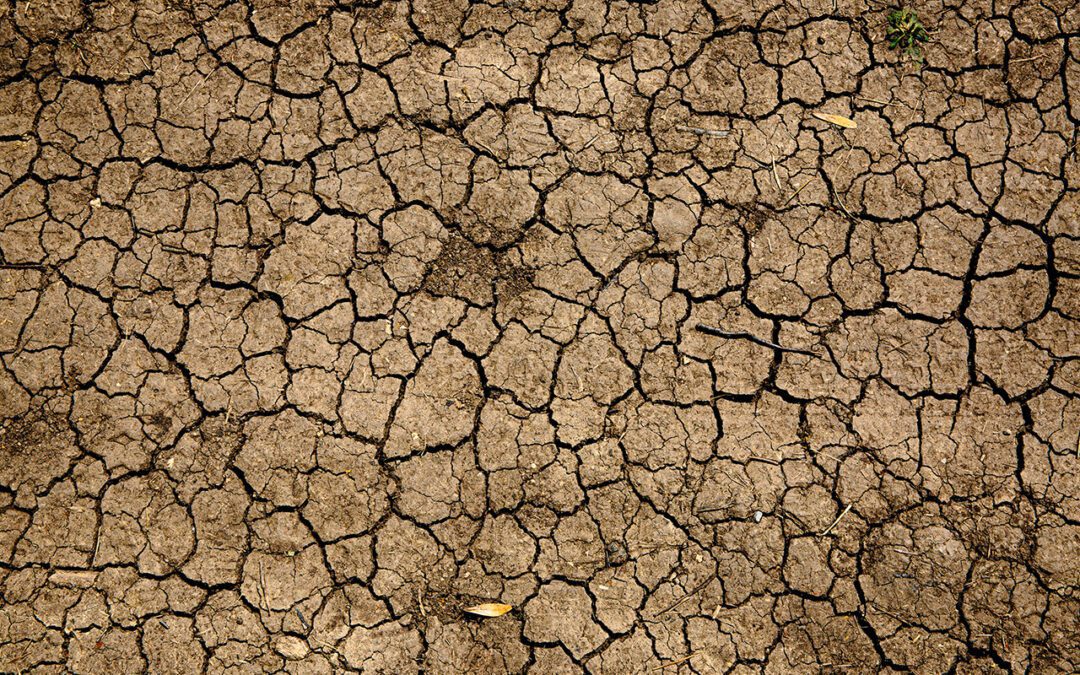 Why Insurers Must Step Up for Climate-Vulnerable Industries
