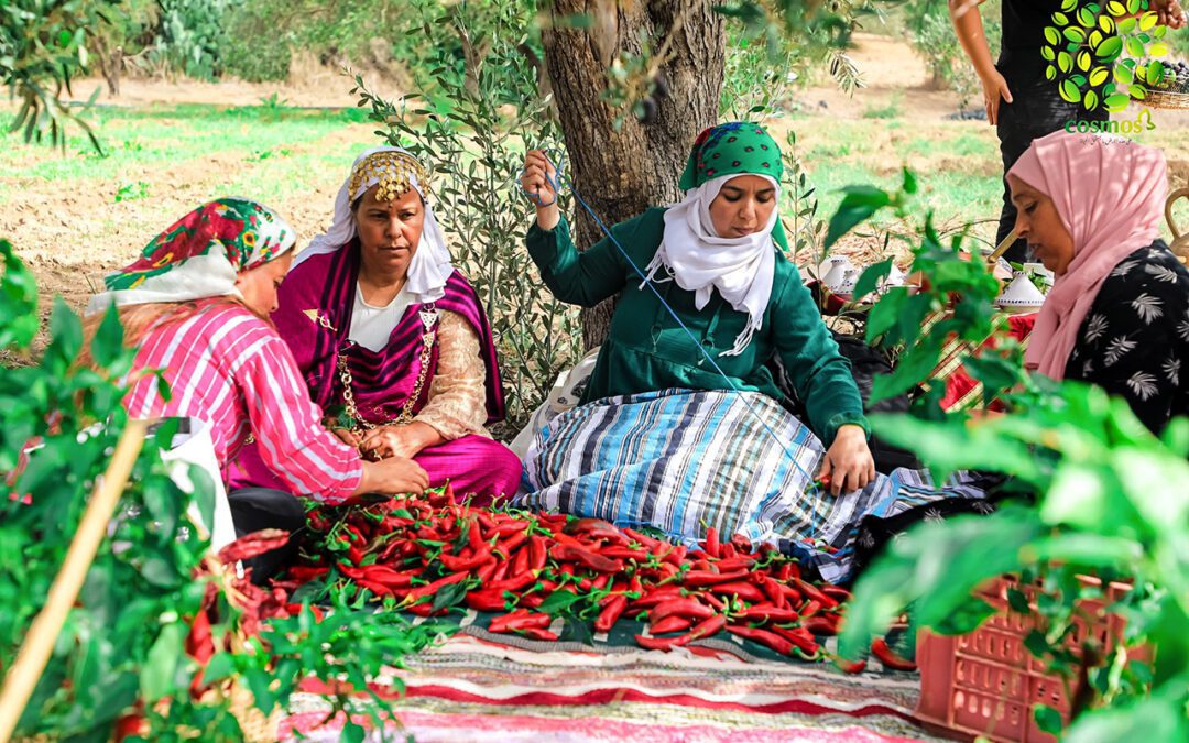 Sovereign Seeds: Reclaiming MENA’s Agricultural Future