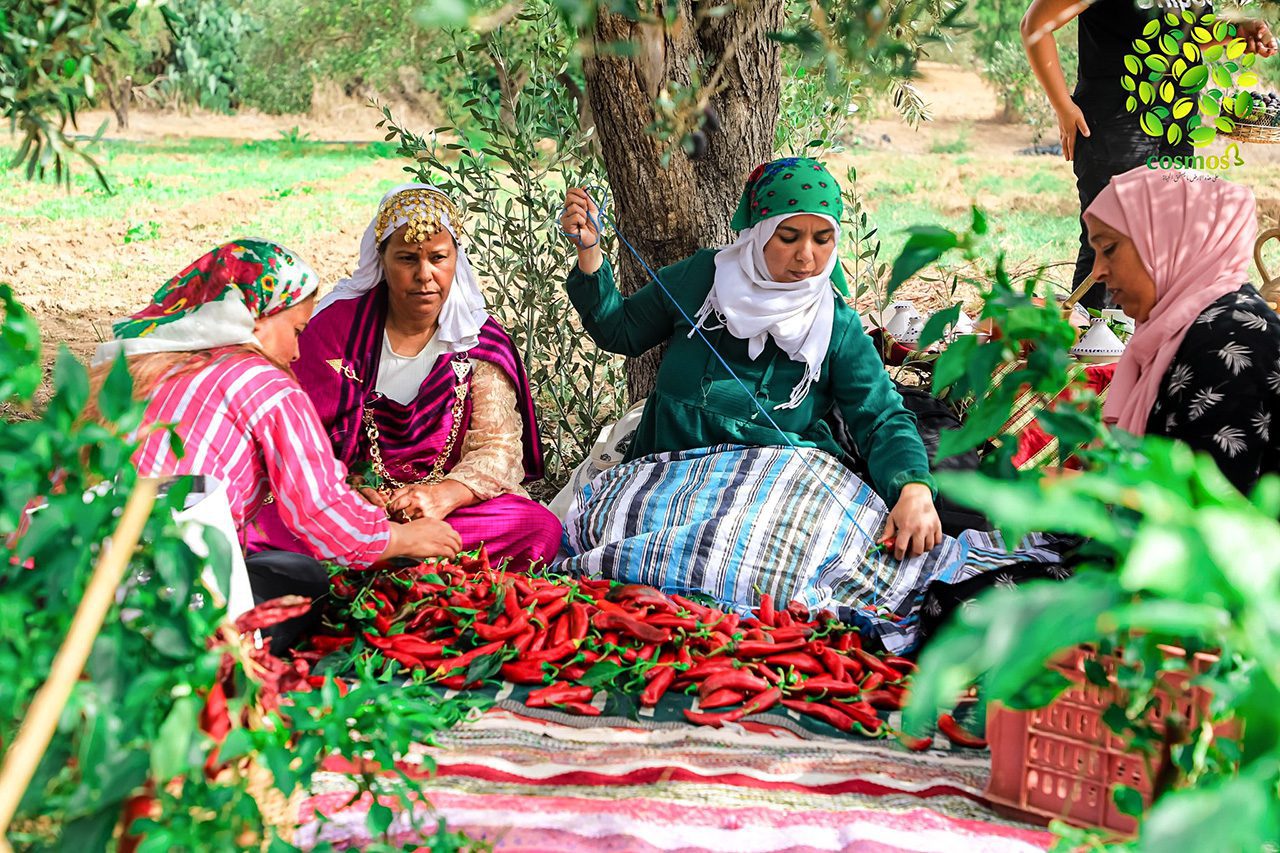 1_TunisianWomenPepepper FEATURED