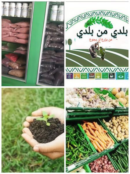  Baladi Project graphic