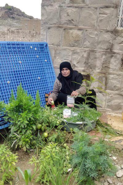 Yeman woman planting
