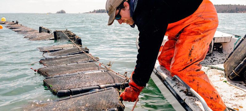 Fisherman with traps