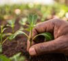 Rewriting Africa’s Impact Investment Narrative