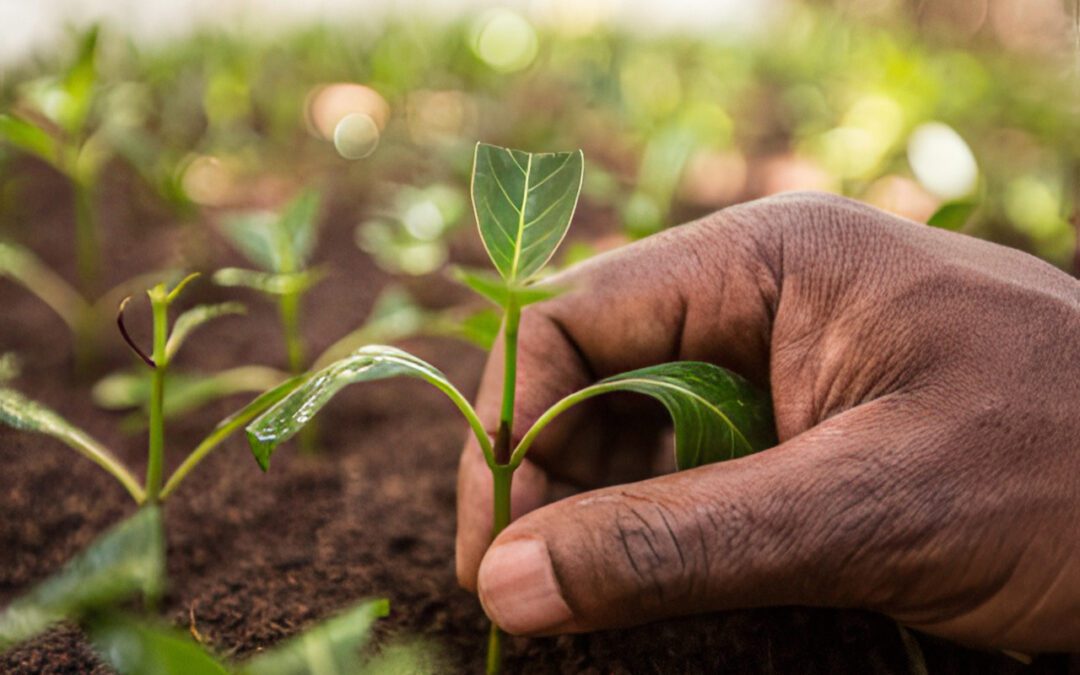 Rewriting Africa’s Impact Investment Narrative