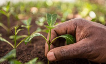 Rewriting Africa’s Impact Investment Narrative