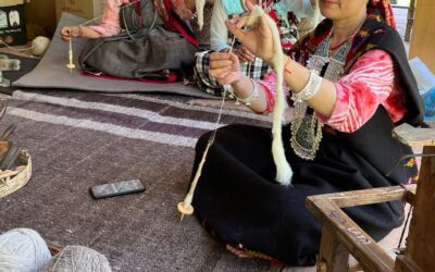 R.I.S.E. Artisan Fund Announces 2025 Market Development Grants