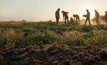 Regenerative Organic Agriculture