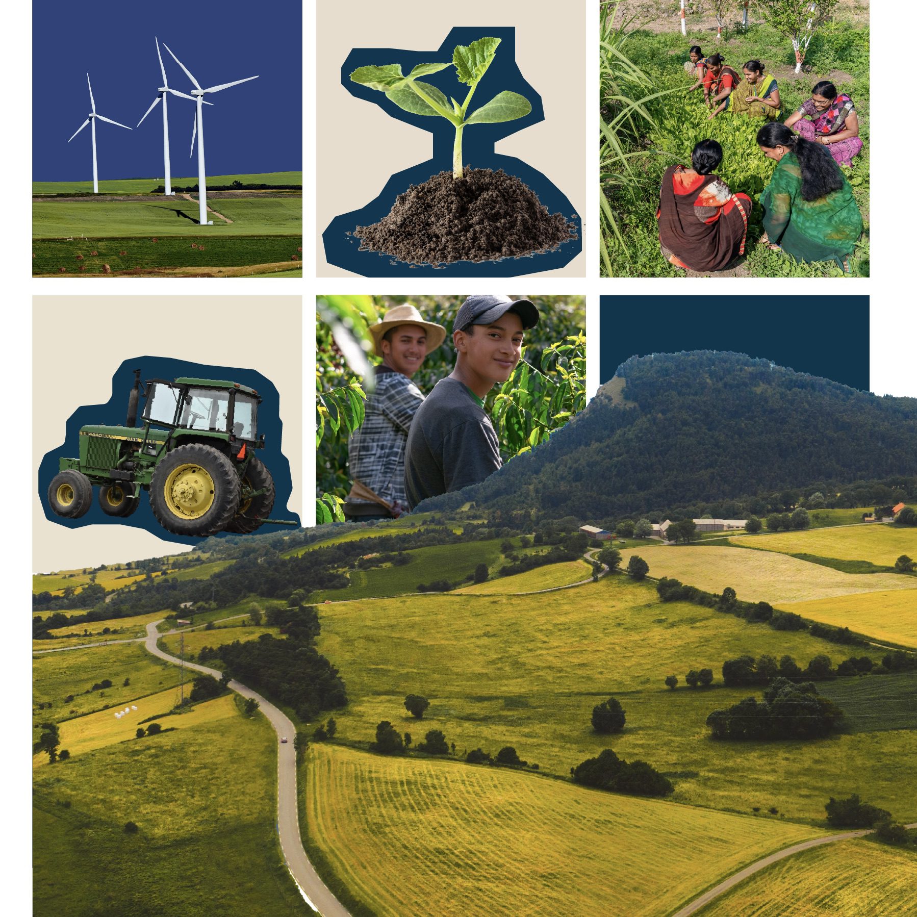 Collage graphic of social entrepreneurs
