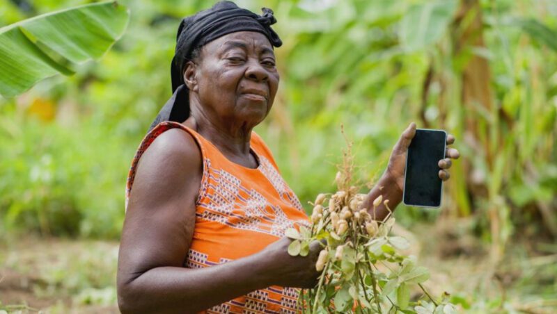 African woman farmer in field